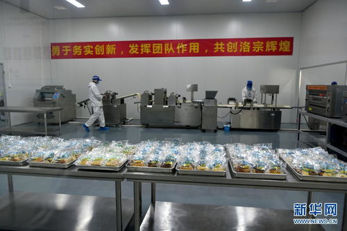 西藏洛隆 以青稞深加工技术开发，铺就高原特色产业增收路