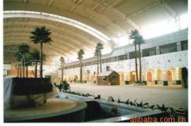 北京棕榈树技术开发 创新驱动，智领未来