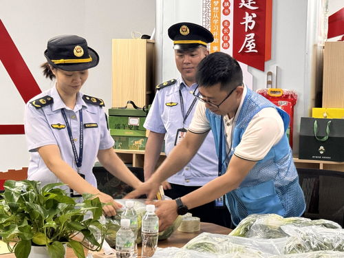 广西龙胜“你点我检” 科技赋能校园餐饮管理，守护学生舌尖安全